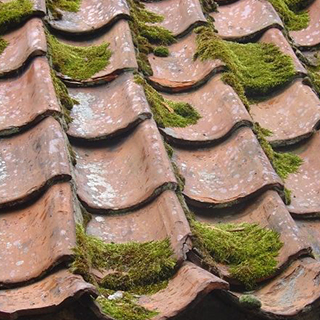 Démoussage et nettoyage de toiture à Rosny-sous-Bois (93110) en Seine-Saint-Denis (93) - MFL Couverture