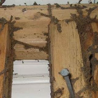 Traitement de charpente à Rosny-sous-Bois (93110) en Seine-Saint-Denis (93) - MFL Couverture